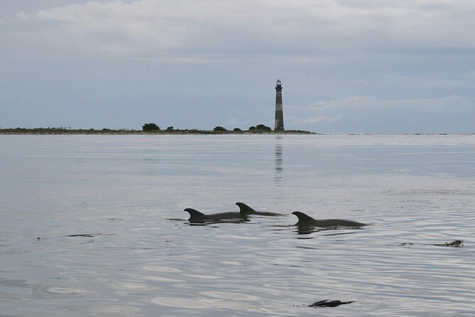 Charleston Eco Boat Cruise with stop at Morris Island Lighthouse - Through Lowcountry Tidal Creeks and Marshes, With Wildlife on the Move