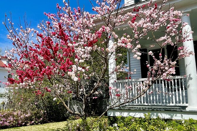Charleston History Tour / - A 2-hour Charleston route that keeps your feet moving