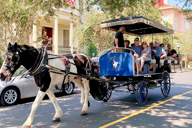 Charleston Horse & Carriage Historic Sightseeing Tour - Why a Charleston carriage tour is an easy win for your first day