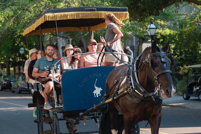 Charleston Horse & Carriage Historic Sightseeing Tour - Rainbow Row from the carriage seat: photos without the foot traffic fight