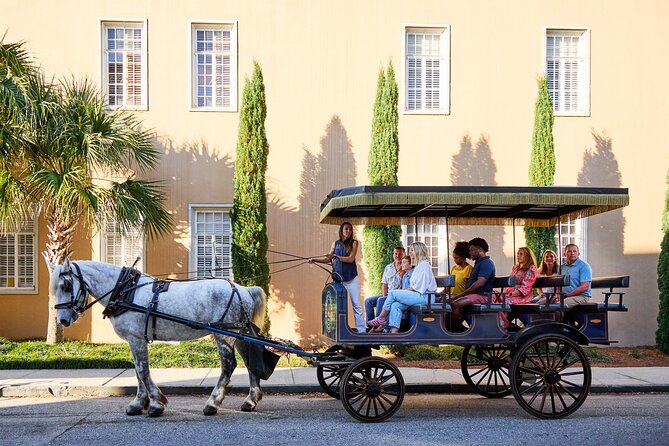 Charleston Horse-Drawn Carriage Tour: Explore Historic Charleston - Who should book, and who should skip