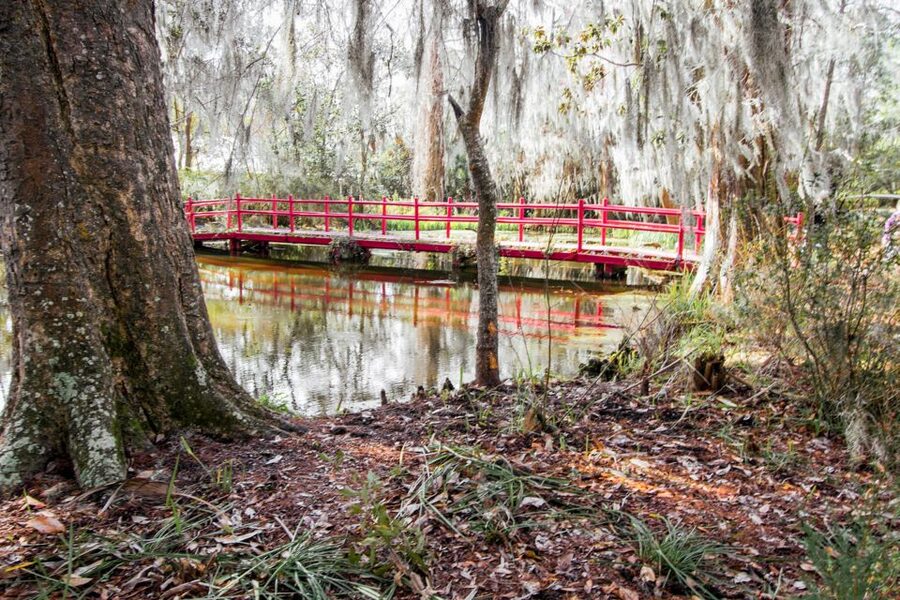 Charleston: Magnolia Plantation Entry & Tour with Transport - Price and value: is $90 a fair deal?