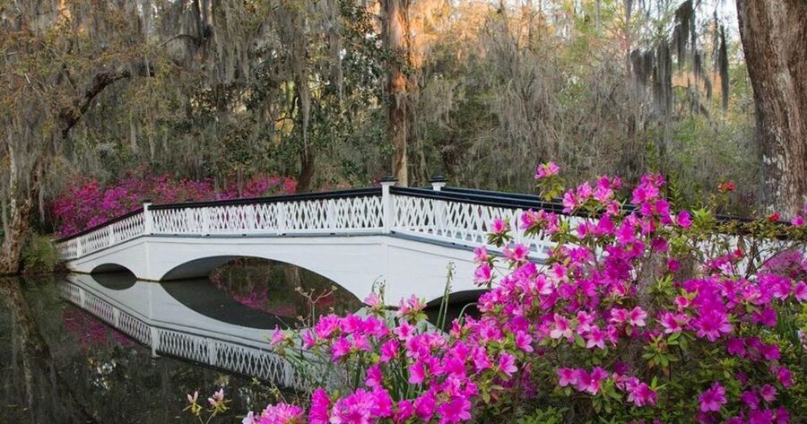 Charleston: Magnolia Plantation Entry & Tour with Transport - What 4 hours really means on the grounds