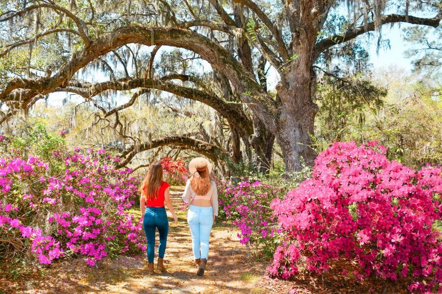 Charleston: Magnolia Plantation Entry & Tour with Transport - Who should book Magnolia Plantation with transport?