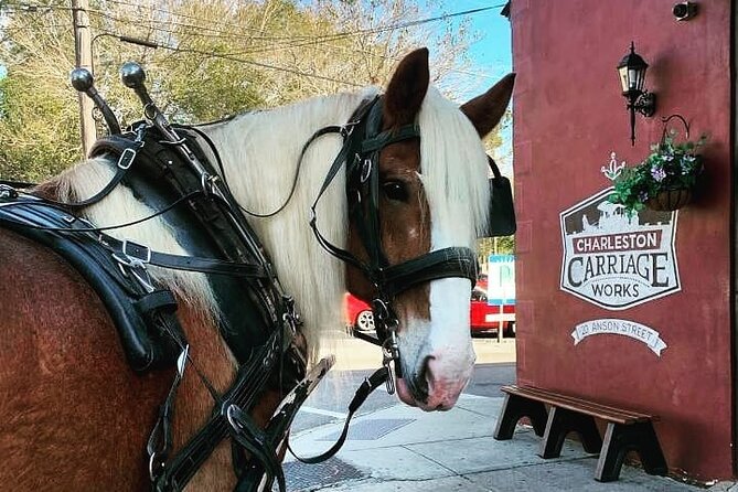 Charleston's Historic Residential Horse and Carriage Tour - Key things to know before you hop in
