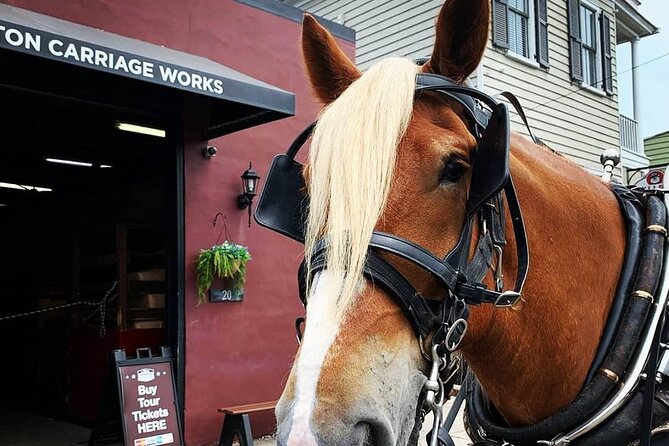 Charleston's Historic Residential Horse and Carriage Tour - What You See, Without Trying to Turn It Into a Museum