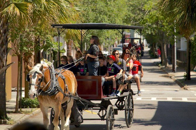 Charleston's Historic Residential Horse and Carriage Tour - The Horse Meet: Why It Matters More Than You Think