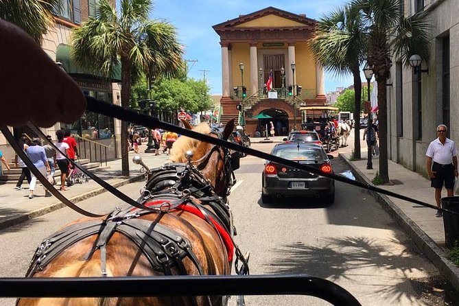 Charleston’s Old South Carriage Historic Horse & Carriage Tour - A pause outside major homes, like the Gov. William Aiken House