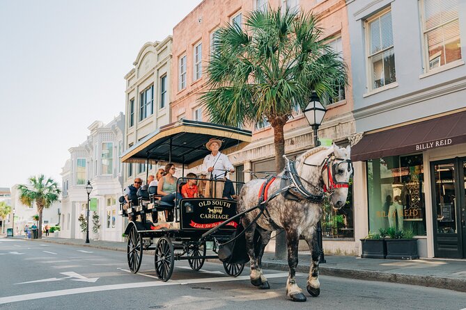 Charleston’s Old South Carriage Historic Horse & Carriage Tour - Getting the most out of your seat: small group comfort and smart timing