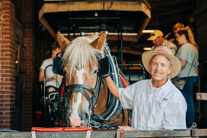 Charleston’s Old South Carriage Historic Horse & Carriage Tour - Belgian and Percheron draft horses, why this tour feels different