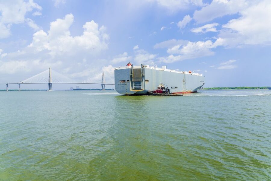 Charleston: Sightseeing Harbor Tour & Dolphin Watch - Dolphins: A Bonus, Not a Guarantee