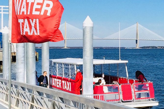 Charleston Water Taxi Cruise with Dolphin Sighting - Key highlights and what matters most