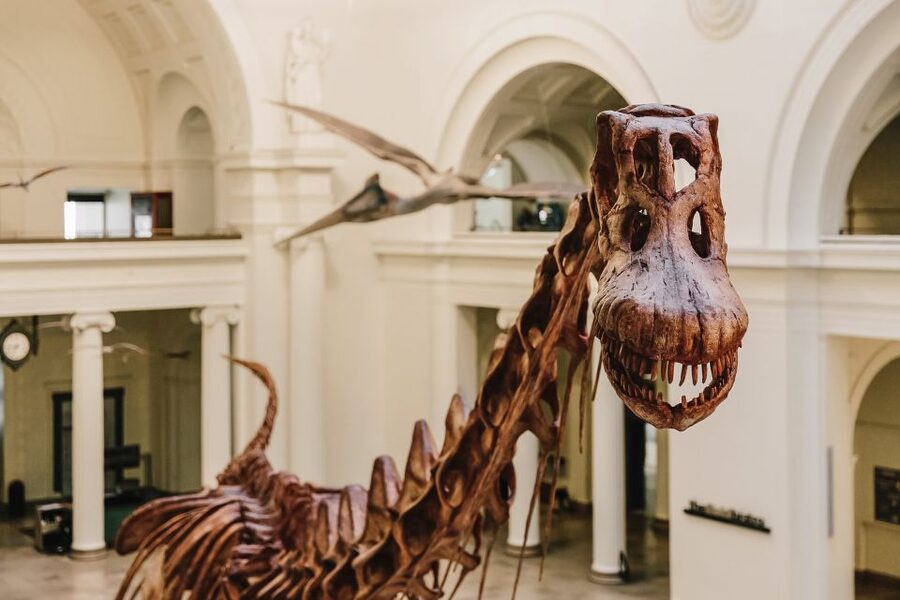 Chicago CityPASS®: Save up to 49% at 5 Top Attractions - Science and Art Days That Don’t Feel Like Homework