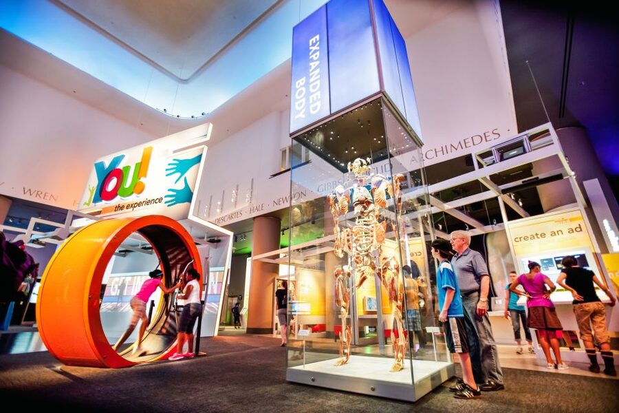 Chicago CityPASS®: Save up to 49% at 5 Top Attractions - Shedd Aquarium and Skydeck Chicago: the Two Stops Most Trips Rely On