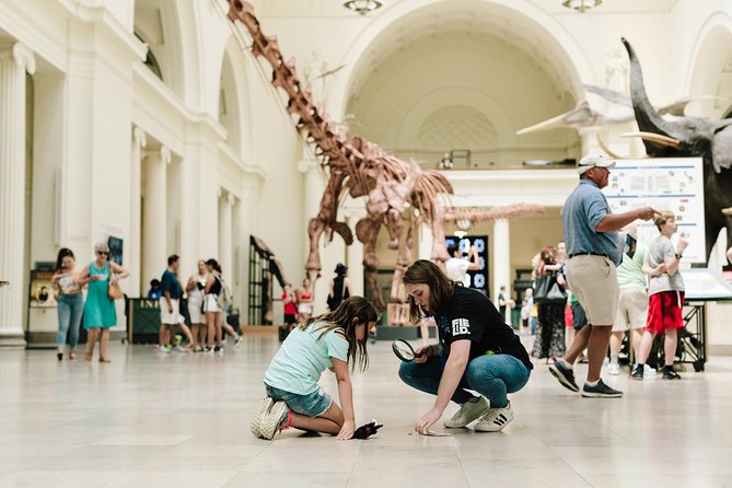 Chicago Explorer Pass: 35+ Things To Do - Includes 360 Chicago - Navy Pier time: waterfront classic, family-friendly extras, and easy wandering