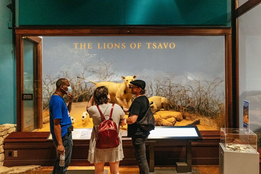 Chicago: Field Museum of Natural History Ticket or VIP Tour - What You Actually Get With This Field Museum Ticket