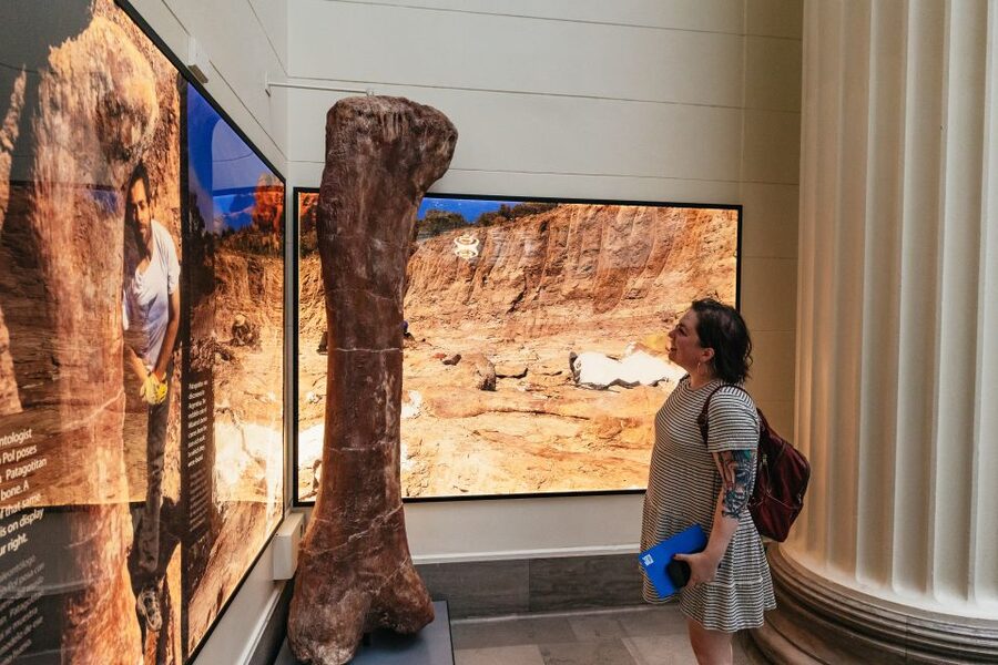 Chicago: Field Museum of Natural History Ticket or VIP Tour - Early Access VIP: Beating the Crowds Before the Doors Open