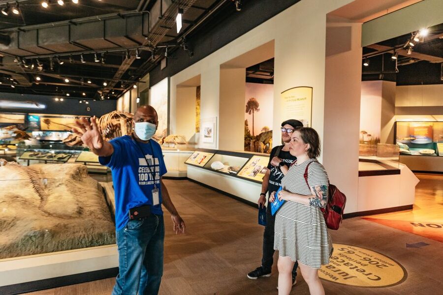 Chicago: Field Museum of Natural History Ticket or VIP Tour - All-Access Pass vs Discovery Pass: Choose Your Level of Special-Exhibit Obsession