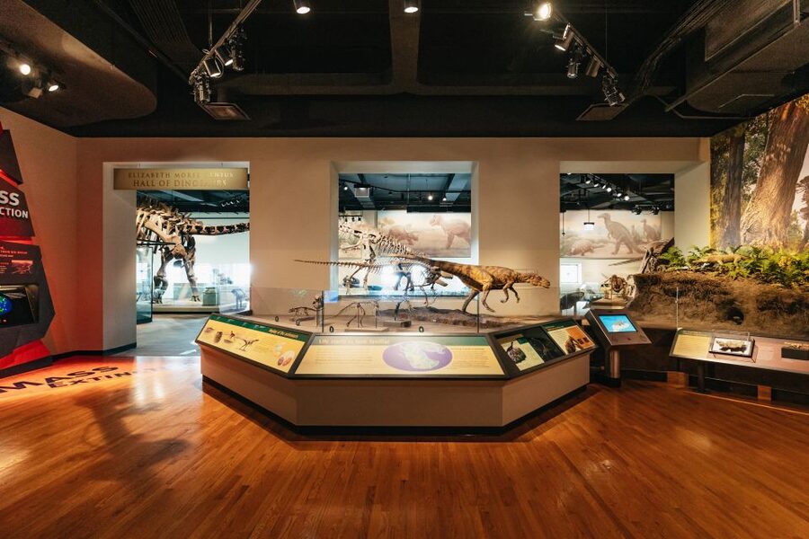Chicago: Field Museum of Natural History Ticket or VIP Tour - The Rest of the Museum Worth Your Time: Underground, Gems, and Jades