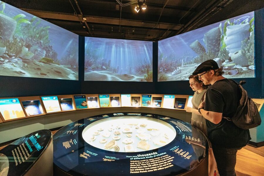 Chicago: Field Museum of Natural History Ticket or VIP Tour - Ancient Americas and the Ice Age Hunting Storyline