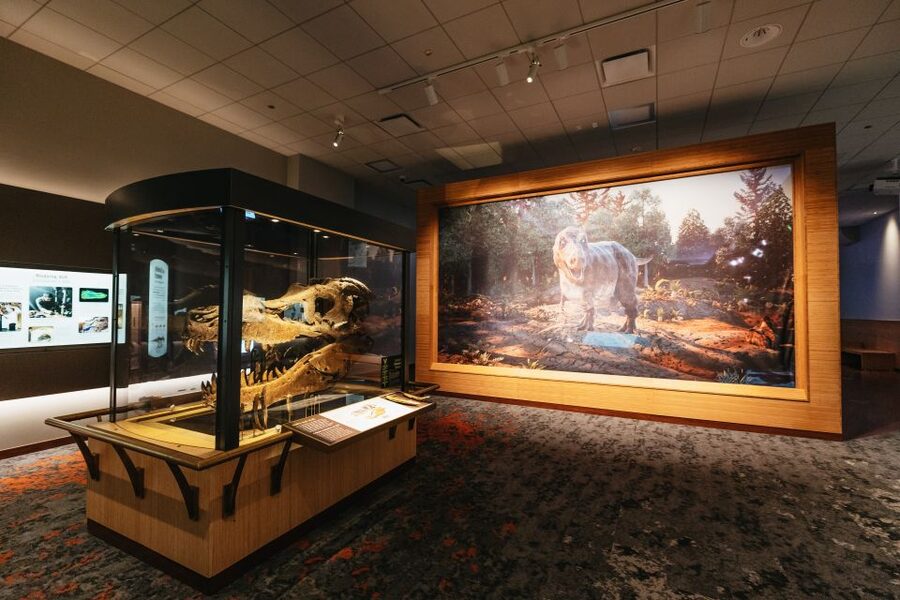Chicago: Field Museum of Natural History Ticket or VIP Tour - Lions of Tsavo and the Mastaba Tomb: What the Ticketed Exhibits Deliver