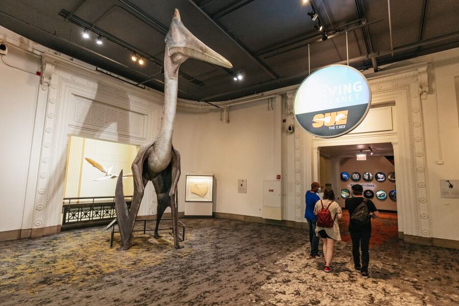Chicago: Field Museum of Natural History Ticket or VIP Tour - How to Spend Your One Day Without Missing the Big Stuff