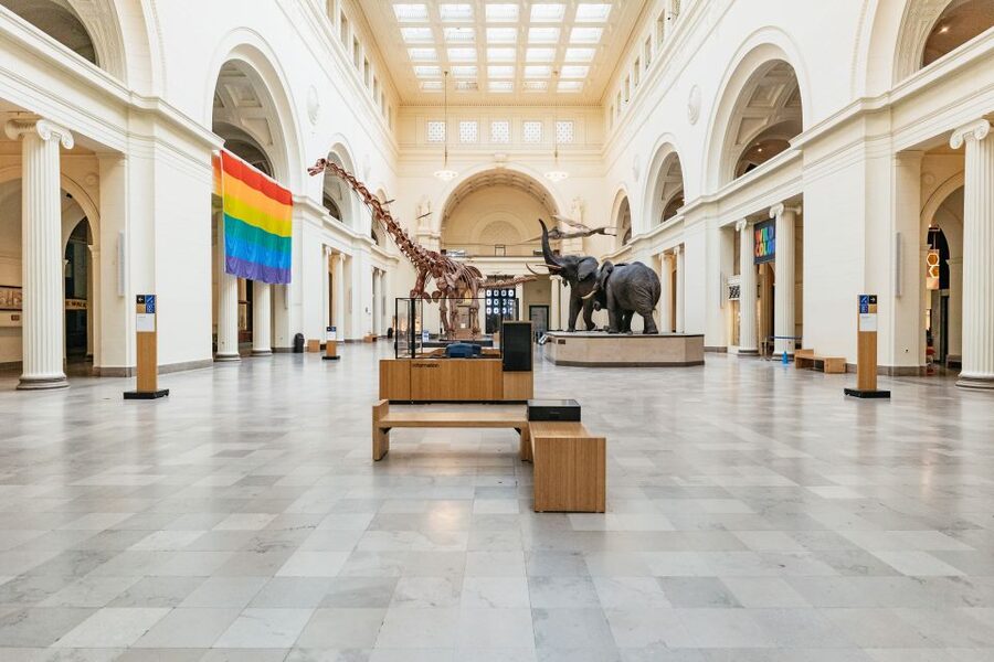 Chicago: Field Museum of Natural History Ticket or VIP Tour - Sue and Maximo: The Dinosaur Hall Game Plan
