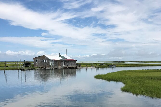 Chincoteague's Up The Bay Pony and Wildlife Tour by Boat - Timing tips: sunrise, sunset, and why morning usually works