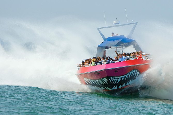 City Cruises Boston Codzilla High-Speed Thrill Boat Ride - Quick, Worth-Know Highlights