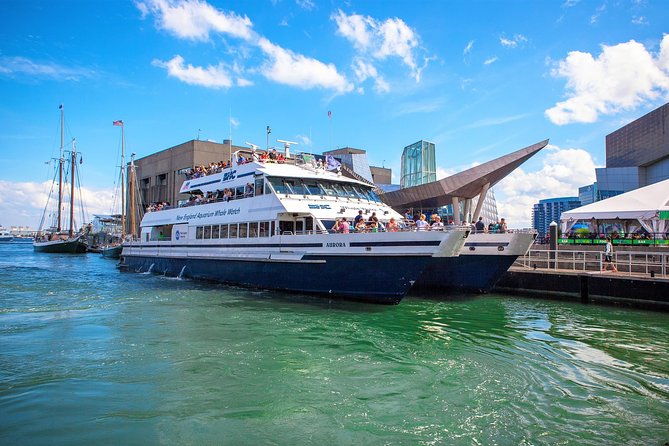 City Cruises Boston Whale Watching Cruise by High-Speed Boat - On Board Comfort and Views: Deck Time Versus Indoor Time