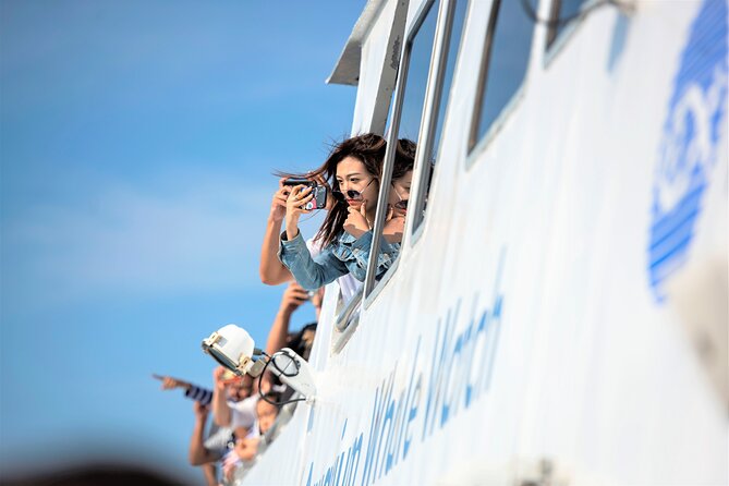 City Cruises Boston Whale Watching Cruise by High-Speed Boat - Price Value for an $85.56 Whale Watch