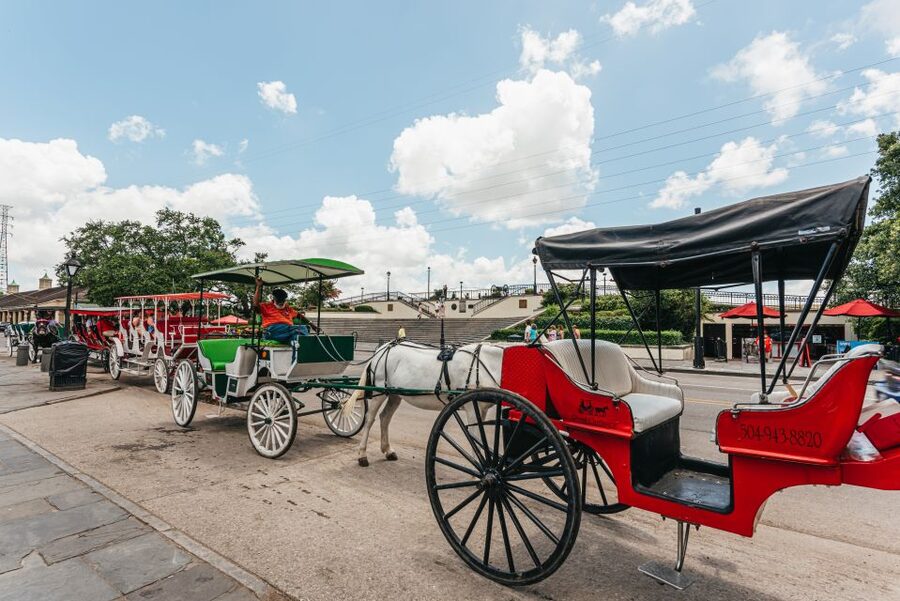 City Sightseeing New Orleans HOHO Bus Tour & Bookable Extras - Superdome stop: sports landmark with a serious scale