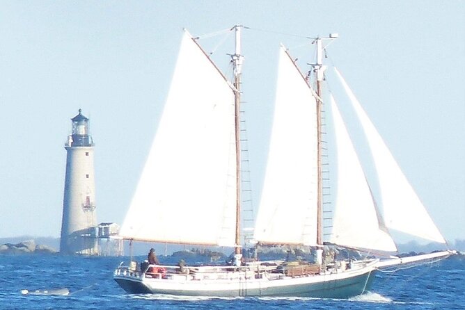 Classic Tall Ship Cruise in Boston Harbor - Is it a history tour, or just a relaxed ride?