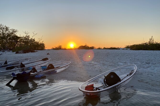 Clear Kayak Guided Eco Tour in North Naples - Key Highlights That Matter on the Water