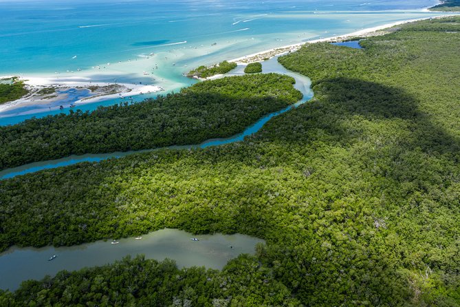 Clear Kayak Guided Eco Tour in North Naples - Clear Kayaks and Mangrove Corridors, in Plain English