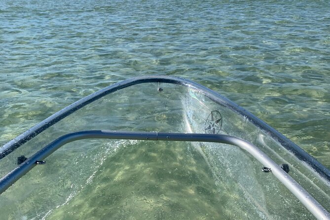 Clear Kayak Guided Eco Tour in North Naples - Mangroves, Wildlife, and the Value of Not Rushing