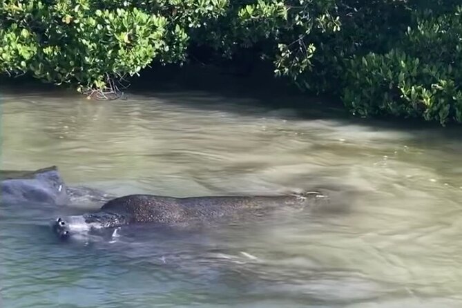 Clear Kayak Guided Eco Tour in North Naples - Beach Time for Shell Hunting and Coastal Photos