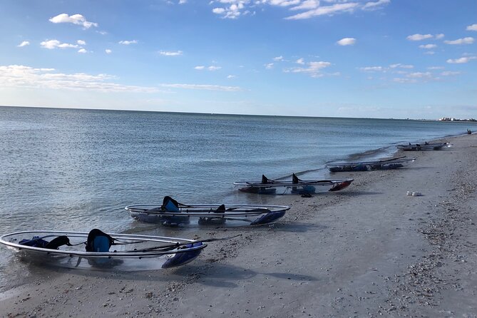 Clear Kayak Guided Eco Tour in North Naples - Price and Value: Is $84 Worth It?