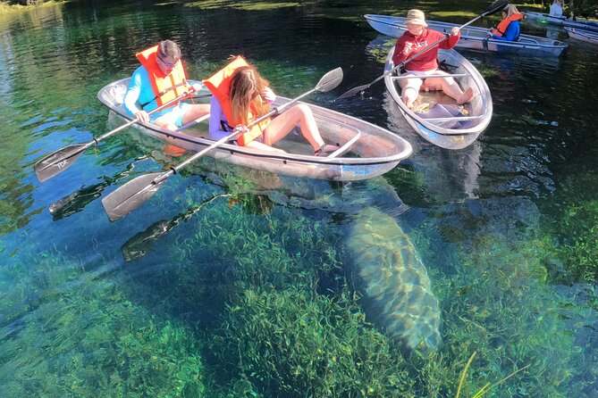 Clear Kayak Manatee Ecotour of Crystal River - Getting Ready: What Happens Before You Paddle