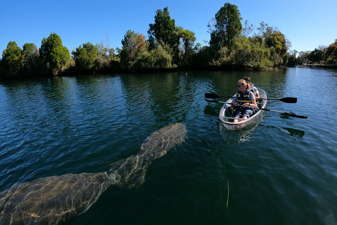 Clear Kayak Manatee Ecotour of Crystal River - Tandem Kayaks, Pairing Rules, and Weight Limits