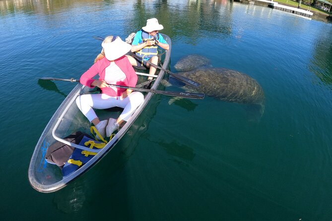 Clear Kayak Manatee Ecotour of Crystal River - Price and Logistics: Budgeting for the Real Cost