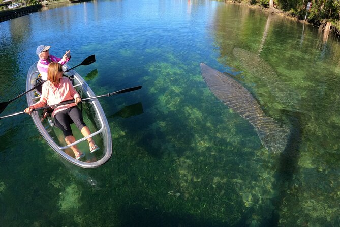 Clear Kayak Manatee Ecotour of Crystal River - Who This Tour Fits Best