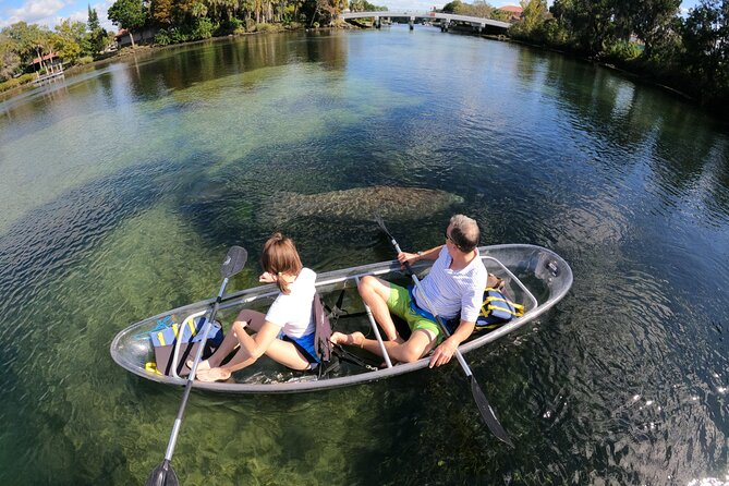 Clear Kayak Manatee Ecotour of Crystal River - On the Water in Crystal River: Your Two-Hour Rhythm
