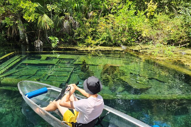Clear Kayak or Paddleboard Manatee Adventure - Wildlife viewing expectations: what you can hope for