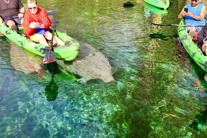 Clear Kayak or Paddleboard Manatee Adventure - Physical effort and comfort: don’t ignore the basics