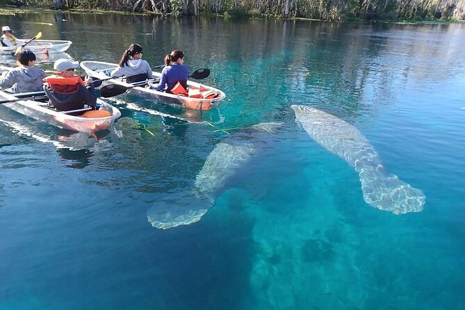 Clear Kayak or Paddleboard Manatee Adventure - On the water: the Fort King paddle trail, step by step