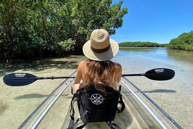 Clear Kayak Tour of Shell Key Preserve and Tampa Bay Area - Quick highlights before you put in
