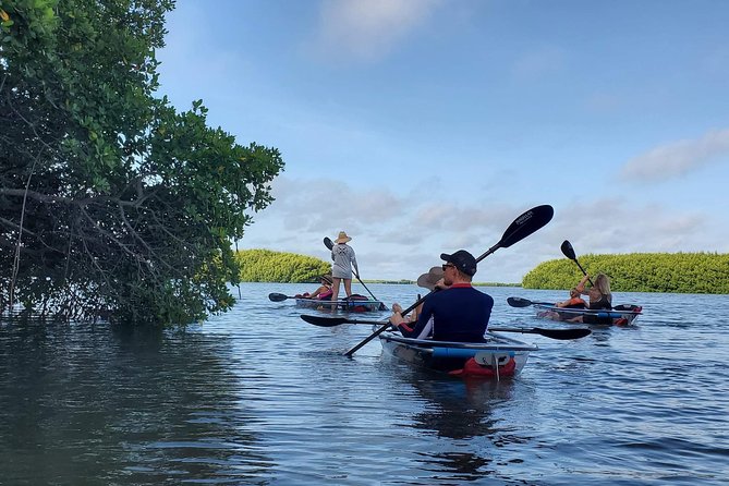 Clear Kayak Tour of Shell Key Preserve and Tampa Bay Area - Where this tour starts in Tierra Verde