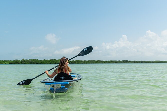 Clear Kayak Tour of Shell Key Preserve and Tampa Bay Area - Clear kayak basics: what the setup means for you