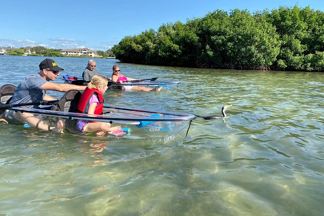 Clear Kayak Tour of Shell Key Preserve and Tampa Bay Area - Meeting your guide, getting briefed, then heading out